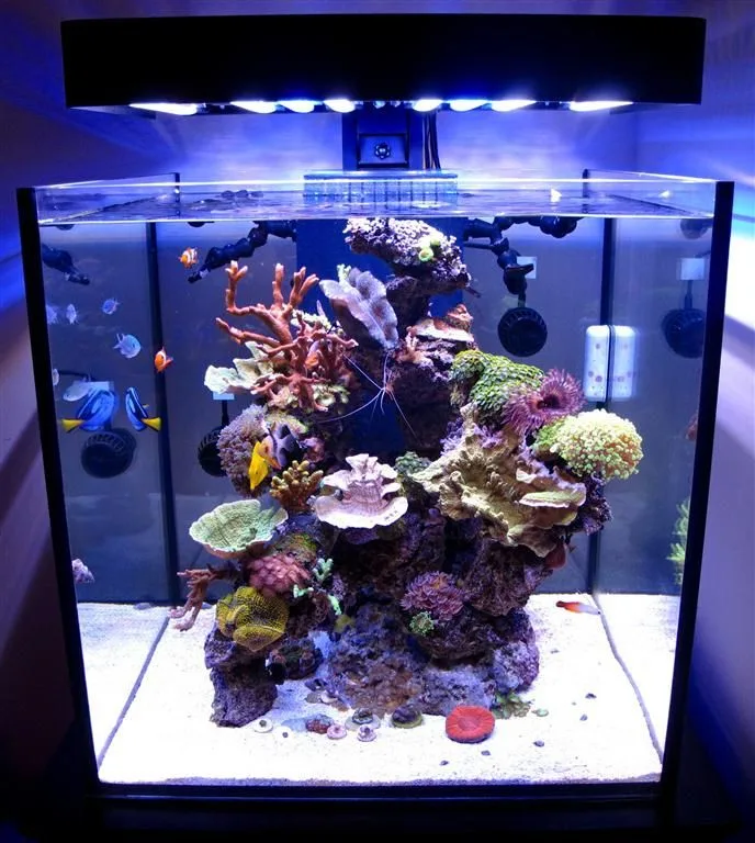Aquarium cube 60X60