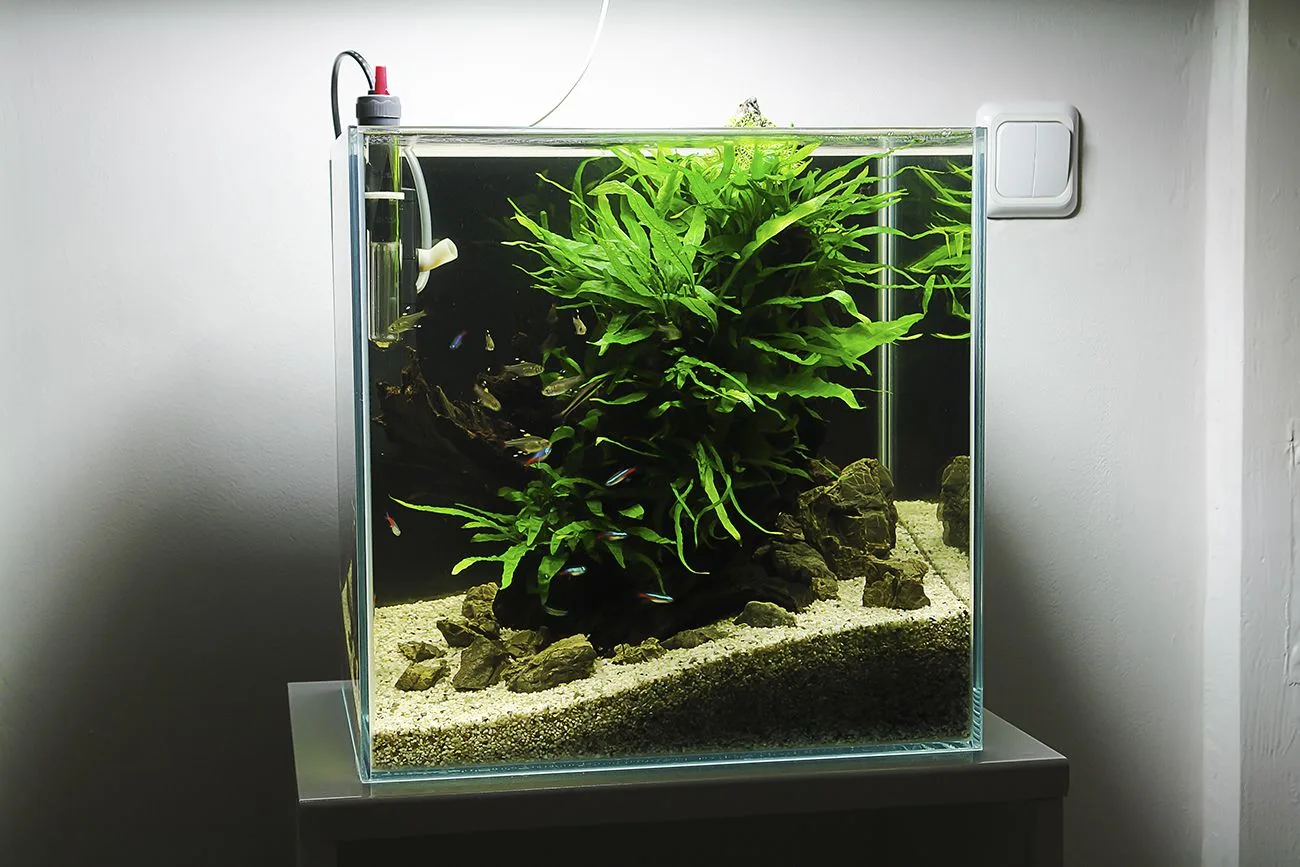 Aquarium cube 40x40