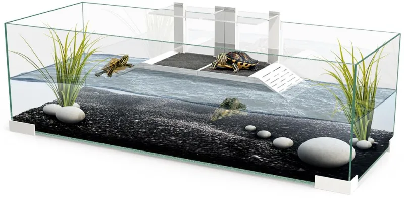 Ciano Tartarium 80