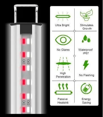 Zetlight ZP2000 LED light, 40 cm