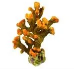 Artificial branching coral, orange and yellow, 33 cm