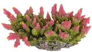 Artificial branching coral, pink and green, 20 cm