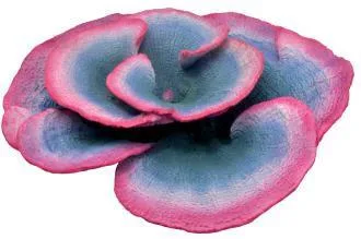 Artificial disc coral, blue and pink, 53 cm