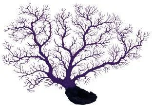 Artificial sea fan, purple, 60 cm