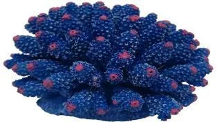 Artificial coral colony, blue and pink, 12 cm