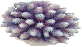 Artificial coral colony, purple and white, 12 cm