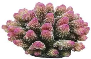 Artificial coral colony, pink, 16 cm