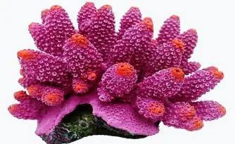 Artificial coral colony, pink, 12 cm
