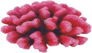 Artificial coral colony, pink, 15 cm