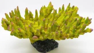 Artificial branching coral, green, 38 cm