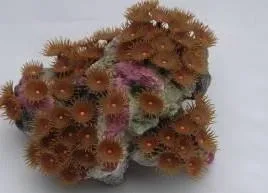 Artificial coral colony, brown, 18 cm