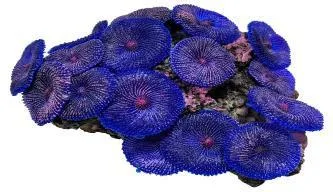 Artificial disc coral, blue and purple, 15 cm