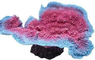 Artificial disc coral, pink and turquoise, 16 cm
