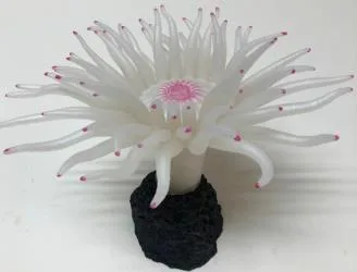 Artificial sea anemone, white and pink, 18 cm