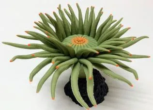 Artificial sea anemone, green, 18 cm