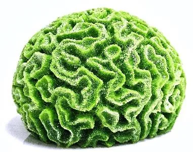 Artificial brain coral, green, 30 cm