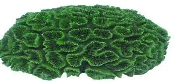 Artificial disc coral, green, 22 cm