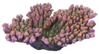 Artificial branching coral, purple and yellow, 33 cm