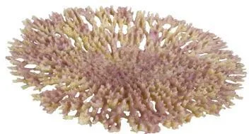 Artificial disc coral, pink and beige, 30 cm