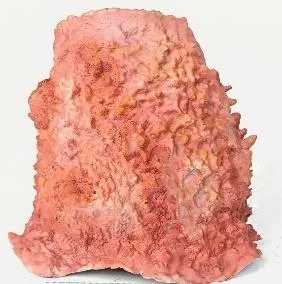 Artificial sponge ornament, upright coral-pink slab