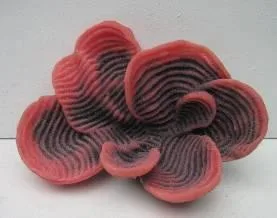 Artificial leaf coral, pink and red, 16 cm