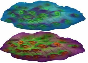 Artificial disc coral, 8 cm