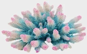 Artificial branching coral, blue and pink, 18 cm