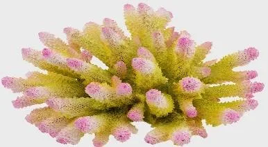Artificial branching coral, green and pink, 18 cm