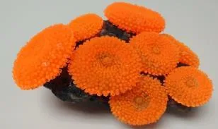 Artificial coral colony, orange, 17 cm