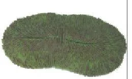 Artificial disc coral, green, 24 cm