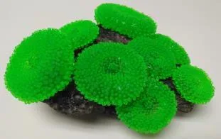 Artificial coral colony, green, 17 cm