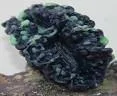 Artificial leaf coral, green and black, 10 cm