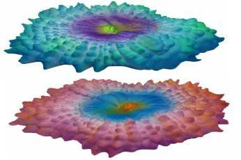 Artificial disc coral, 8 cm