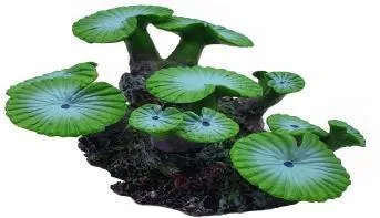 Artificial disc coral, green and turquoise, 10 cm