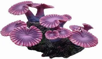 Artificial disc coral, pink, 10 cm