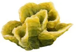 Artificial leaf coral, yellow, 15 cm