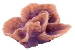 Artificial leaf coral, brown and purple, 15 cm