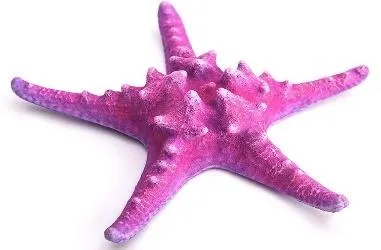 Artificial starfish, pink and purple