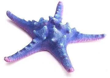Artificial starfish, blue and pink