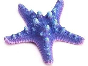 Artificial starfish, blue and purple