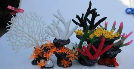 Reef centrepiece, 50 cm