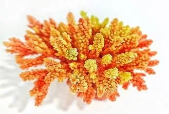 Artificial branching coral, orange and yellow, 15 cm