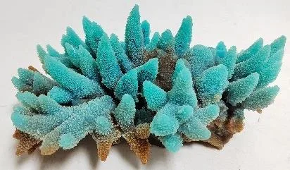 Artificial branching coral, turquoise and brown, 30 cm