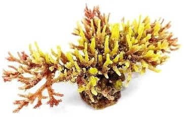 Artificial branching coral, yellow and brown, 20 cm