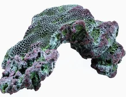 Low arching reef rock, 47 cm