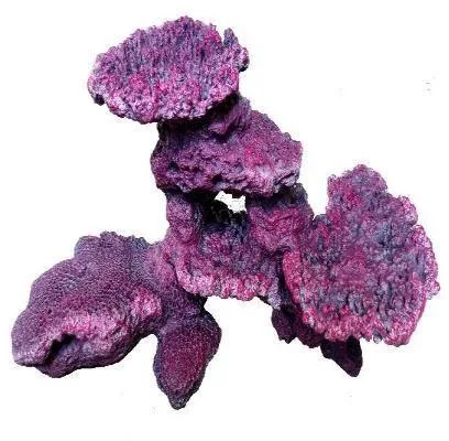 Pink plate reef rock, 69 cm