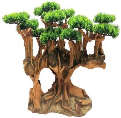Large bonsai with rounded foliage clusters on a rock base, 66 cm