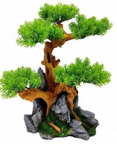 Bonsai tree with a flat layered canopy on a grey rock, 30 cm