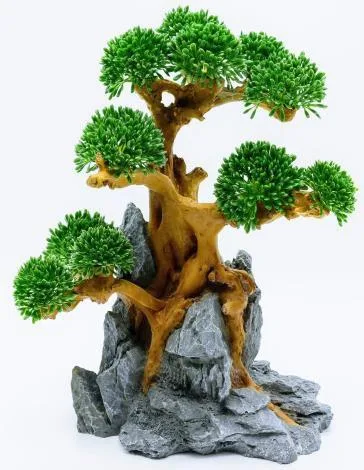 Bonsai tree with rounded canopy clusters on a grey rock, 30 cm