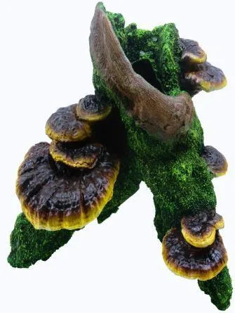 Mossy branch with bracket fungi, 17 cm